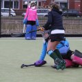 IMG_2441