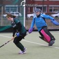 IMG_2450
