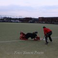 IMG_3195