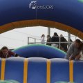 IMG_2388