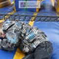IMG_9764