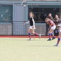 IMG_1593