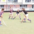 IMG_1595