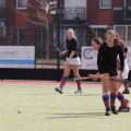 IMG_1622
