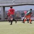 IMG_1864