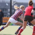 IMG_2081