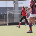 IMG_2087
