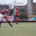 IMG_2141