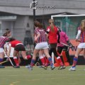 IMG_2151
