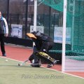 IMG_2810