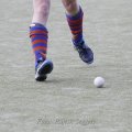 _MG_3461