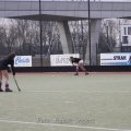 _MG_3466