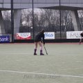 _MG_3469