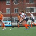 IMG_1941