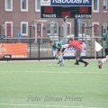 IMG_2495
