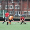 IMG_2553 (2)