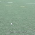 IMG_2588