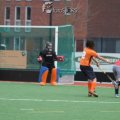 IMG_2596 (2)
