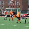 IMG_2604 (2)