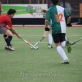 IMG_2611