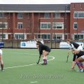 IMG_2993