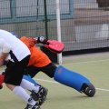 IMG_6491