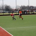 IMG_6550