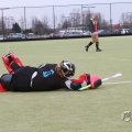 IMG_970037