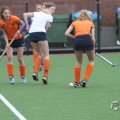 IMG_970237