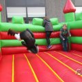 IMG_970854