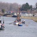 IMGP8641