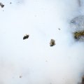 IMG_971592