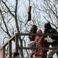 IMG_972063