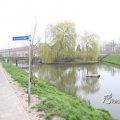 IMG_377579