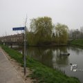 IMG_377584