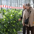 IMG_973161