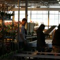 IMG_973363