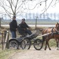 IMG_973682