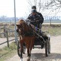 IMG_973683