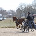 IMG_973684