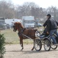 IMG_973685