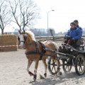 IMG_973687