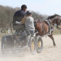 IMG_973691