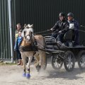 IMG_973704