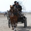 IMG_973711