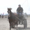 IMG_973713