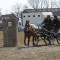 IMG_973715