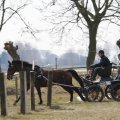 IMG_973721