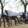 IMG_973722
