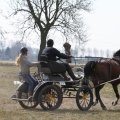 IMG_973723